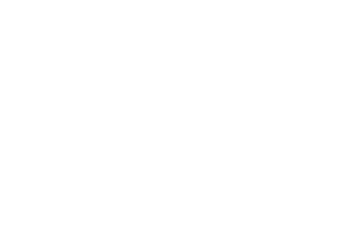 Honorable Mention, BLACK AI FEST 2025